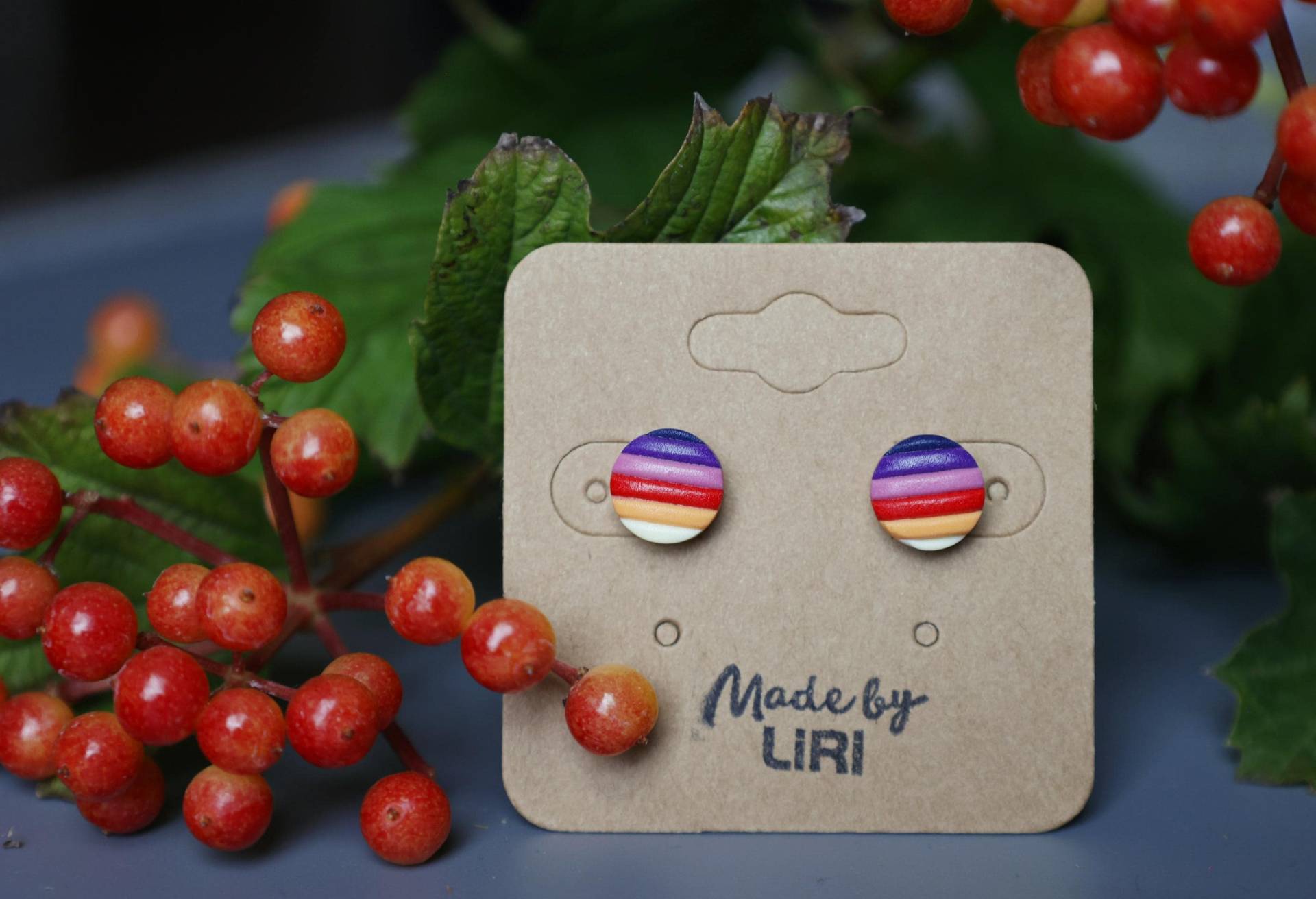 Ohrstecker Rund Klein Regenbogen Bunt | 925 Sterling Silber Ohrstecker Rund Klein Regenbogen Bunt | 925 Sterling Silber von MadebyLiri
