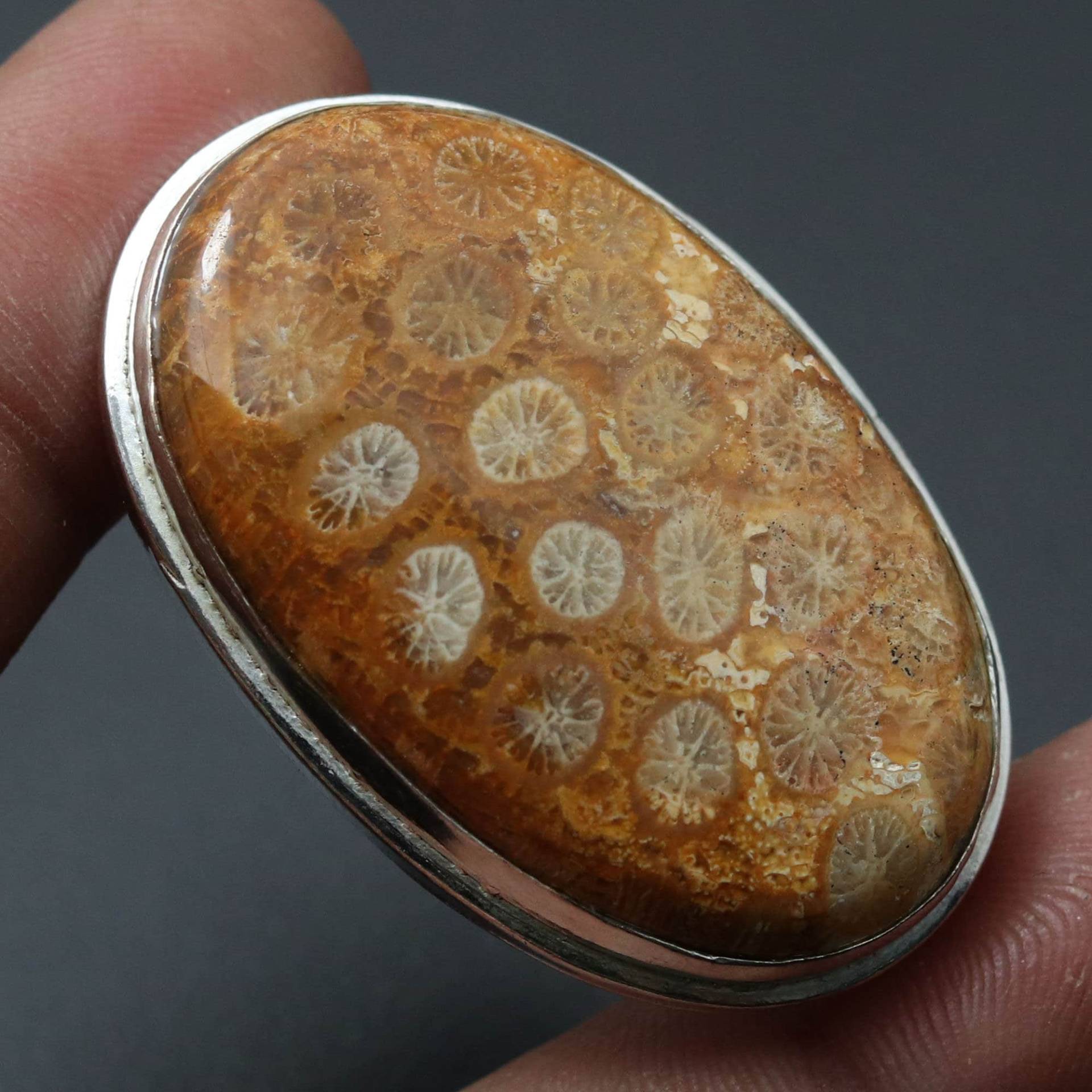 Fossil Koralle Ring Frau Edelstein Schmuck Geschenk Für Ihn Sterling Silber Vergoldet Sie von MadonnaJewellery