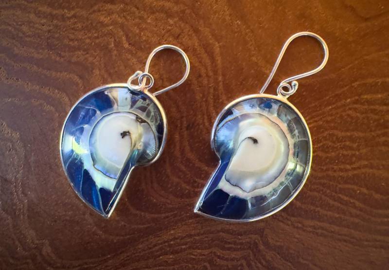 Blue Nautilus Shell Earrings Personalised Gift von BaliMoonSilver