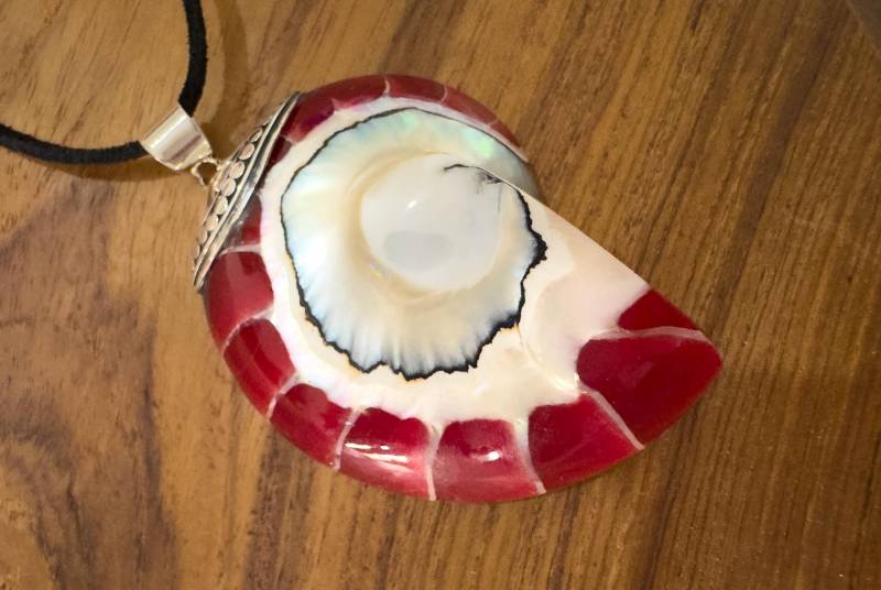 Large Red Nautilus Shell Pendant, Bali Jewelry, 925 Sterling Silver 60mm Large Red Nautilus Shell Pendant, Bali Jewelry, 925 Sterling Silver 60mm von BaliMoonSilver