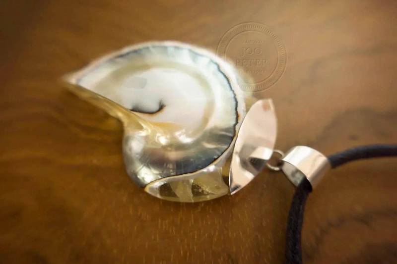 Nautilus Ocean Shell Pendant Set in Sterling Silver Personalised Gift Nautilus Ocean Shell Pendant Set in Sterling Silver Personalised Gift von BaliMoonSilver