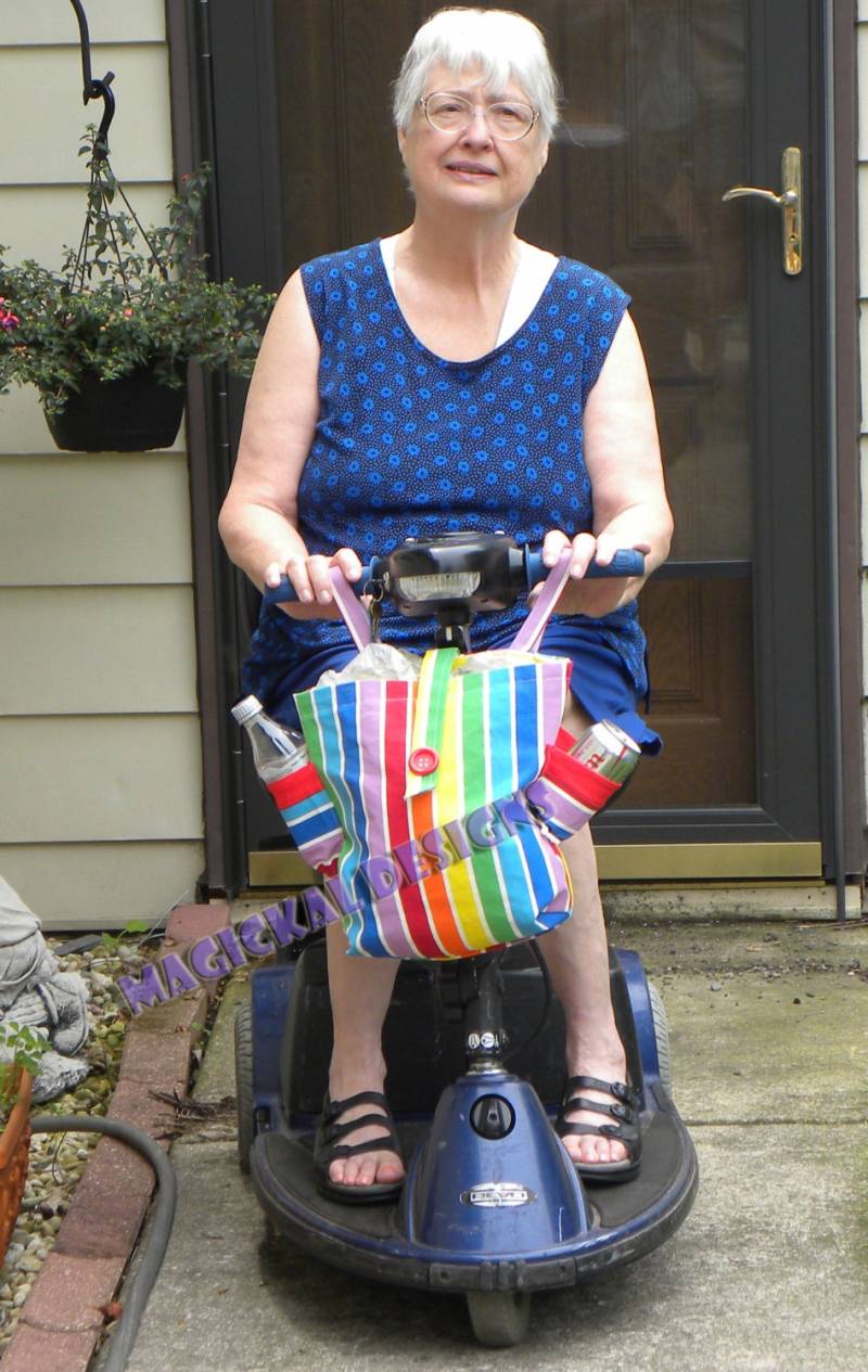 Custom Scooter Bag - Geräumig, Mit Vielen Taschen, Hängt Am Lenker von MagickalDesigns