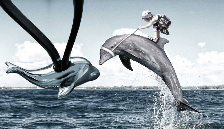 Dreidimensionaler Delfin Delphin Anhänger Mit Loch, Durch Welches Man Ein Lederband Ziehen Kann von MagischeWeltAvalon