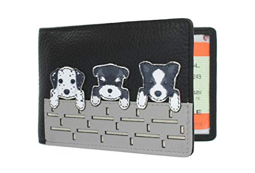 Mala Leder Best Friends Kollektion Fahrkarten-Halter/Ticket-Halter 631TC_65 Schwarz von Mala Leather