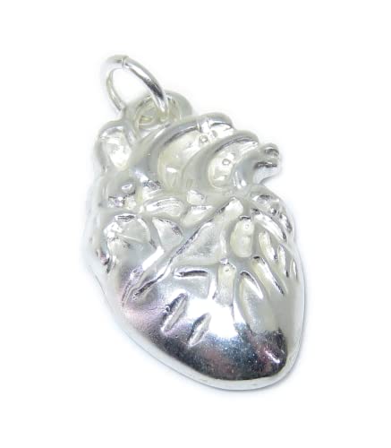 Anatomisches Herz 2D Sterling Silber Charm-Anhänger .925 x 1 Medical Hearts Charms von Maldon Jewellery