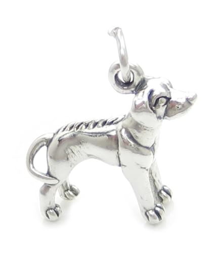 Rhodesian Ridgeback Hund Sterling Silber Anhänger .925 x 1 Hund Charme sslp2443 von Maldon Jewellery