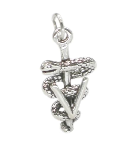VET Symbol Sterling Silber Charm .925 x 1 Vets Veterinary Charms von Maldon Jewellery