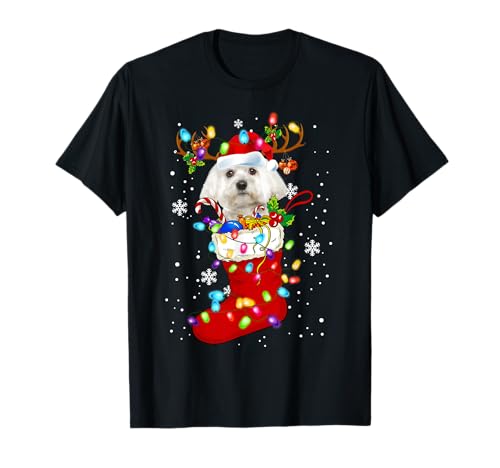 Santa Malteser in Christmas Socks Lover Kids Family T-Shirt Santa Malteser in Christmas Socks Lover Kids Family T-Shirt von Maltese Dog In Christmas Socks Costume