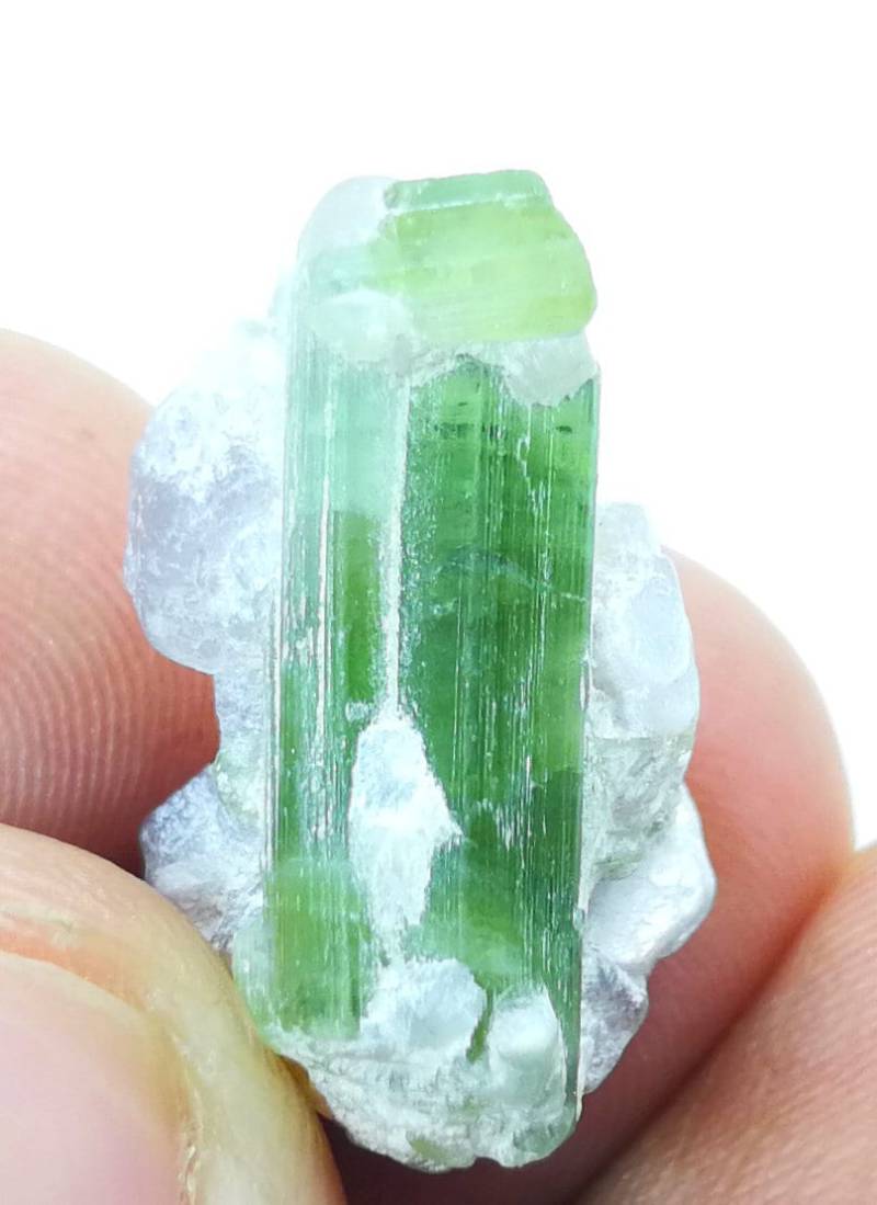 15 Cts Natürliches Grünes Turmalin Kristall Exemplar @ Afghanistan 15 Cts Natürliches Grünes Turmalin Kristall Exemplar @ Afghanistan von ManalGems