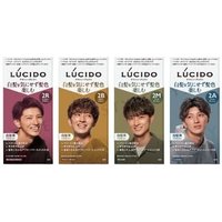 Mandom - Lucido Design Hair Color 2M Mat Ash von Mandom