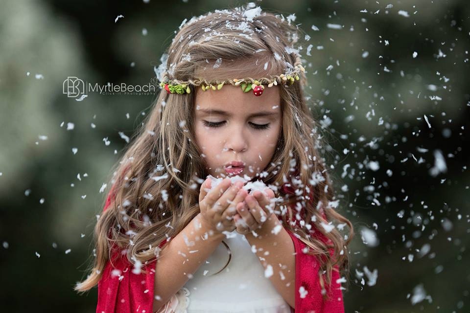 Pilz Blumenkranz Rustikales Waldbeeren Haarband von ManniaTitta