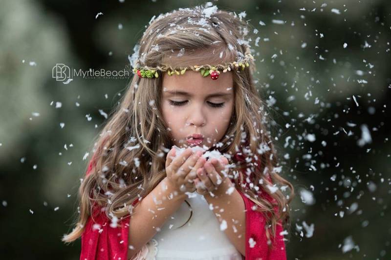 Pilz Blumenkranz Rustikales Waldbeeren Haarband von ManniaTitta