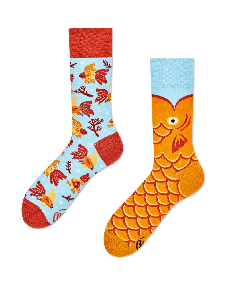 Fischsocken - The Wish Fish von Many Mornings