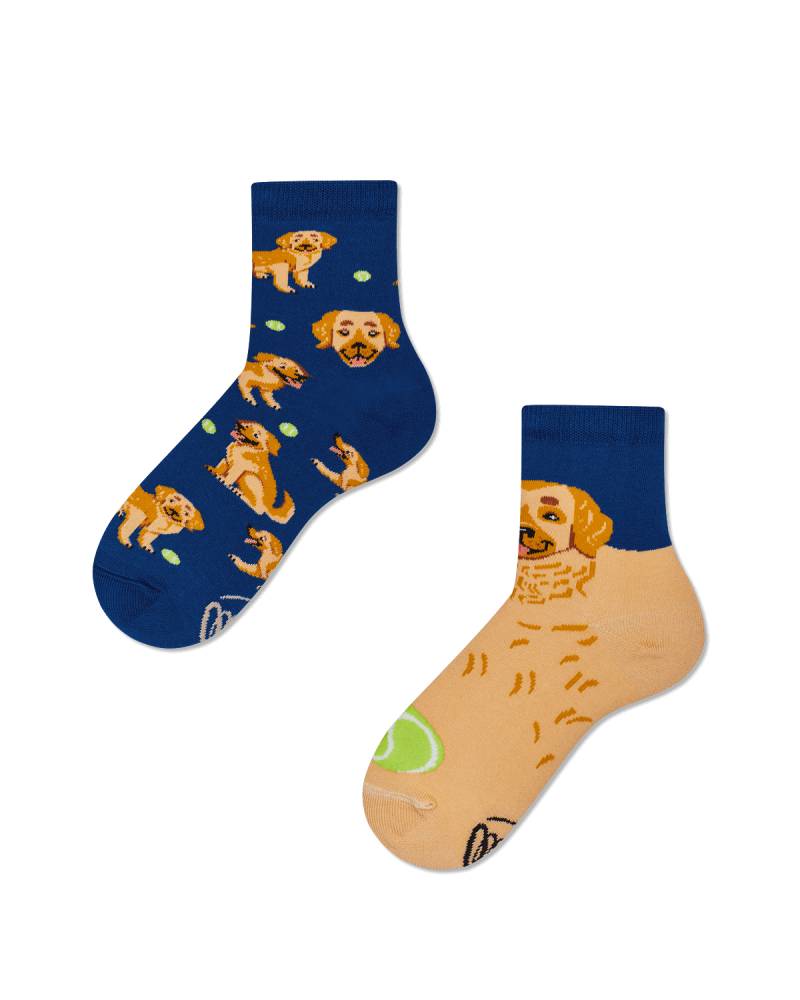 Labrador Kindersocken - Golden Boy Kids von Many Mornings
