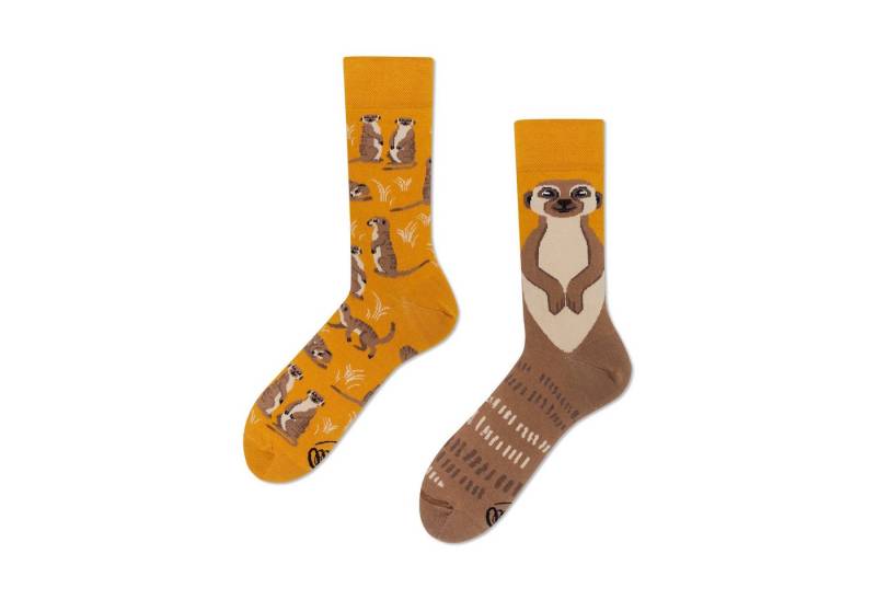 Many Mornings Freizeitsocken The Meerkat Many Mornings Socken mit Erdmännchen in 43-46 im Paar von Many Mornings
