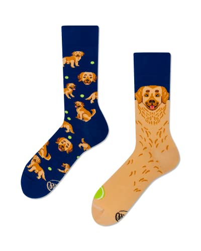 Many Mornings - Golden Boy - Hund, Golden Retriever - Mismatched Socks (as3, numeric, numeric_35, numeric_38, regular, regular) von Many Mornings