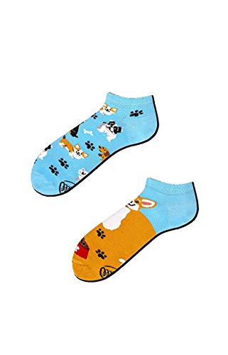 Many Mornings PLAYFUL DOG LOW-43-46 von Many Mornings