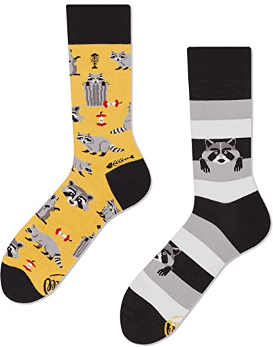 Many Mornings Unisex Raccoon Bandit Mismatched Socken, Multicolor, 35-38 von Many Mornings