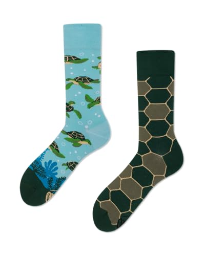 Many Mornings Socken Turtle Time 39/42 von Many Mornings