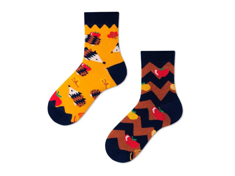 Igel Kinder Socken Von Many Mornings, Jungen Und Mädchen Socken, Bunte & Lustige Mismatched Geschenk von ManyMornings