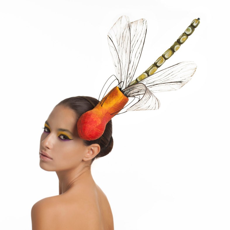 Libelle in Rohseide Krug Pflanze, Fleischfressende Pflanze Kopfstück von Maorzabar