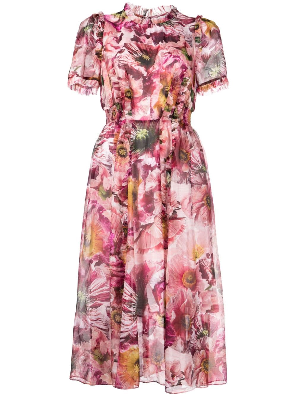 Marchesa Rosa Sedum Midikleid mit Blumen-Print von Marchesa Rosa