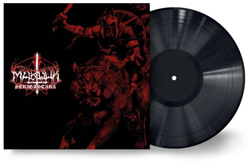 Marduk Strigzcara warwolf live 1993 LP schwarz Marduk Strigzcara warwolf live 1993 LP schwarz von Marduk