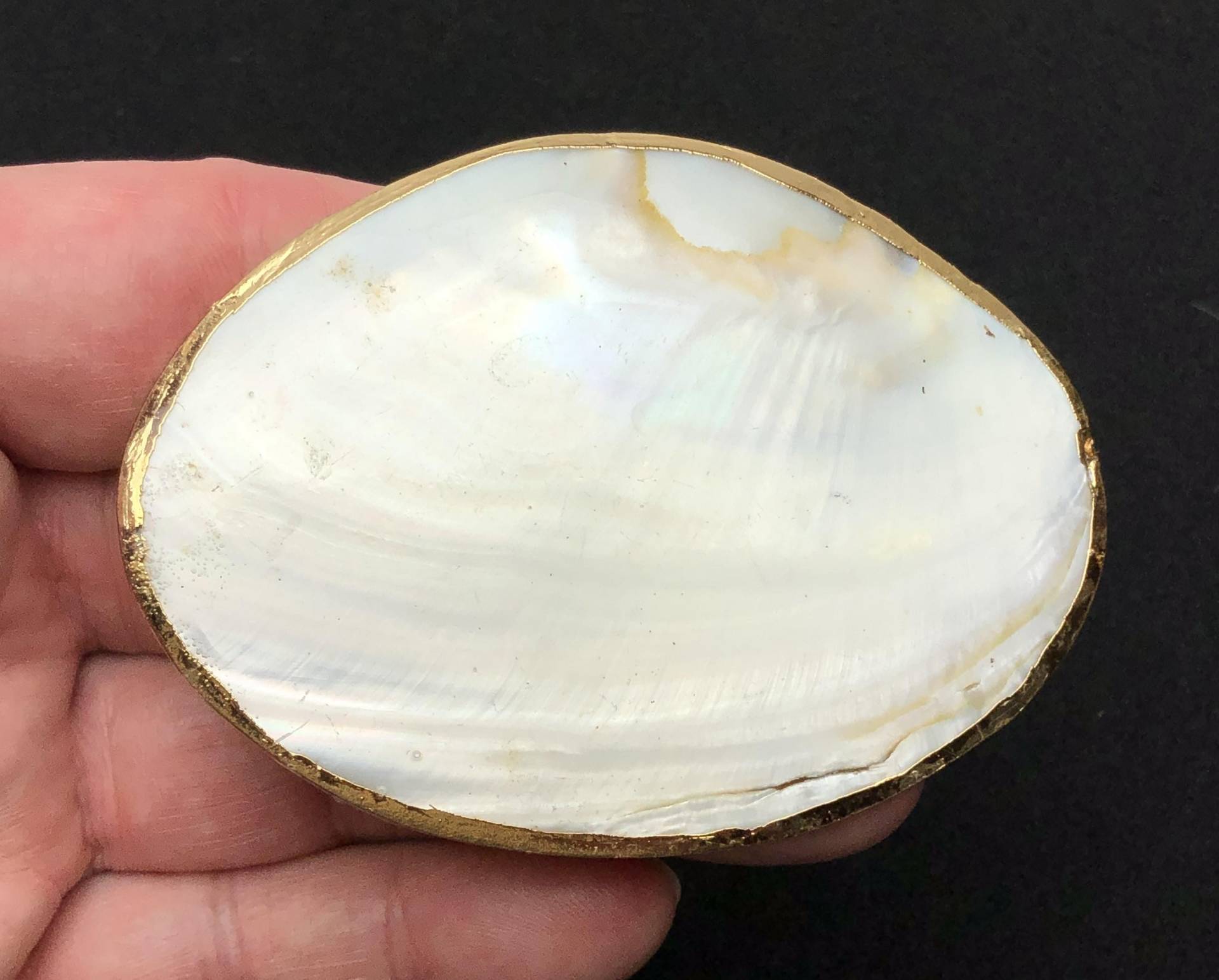 Multipurpose Oval Shell For Diy Project Belt Buckle/Pendant Hairclip Handbag Decoration Goldplated Mother Of Pearl Galvanized Multipurpose Oval Shell For Diy Project Belt Buckle/Pendant Hairclip Handbag Decoration Goldplated Mother Of Pearl Galvanized von MareOptima