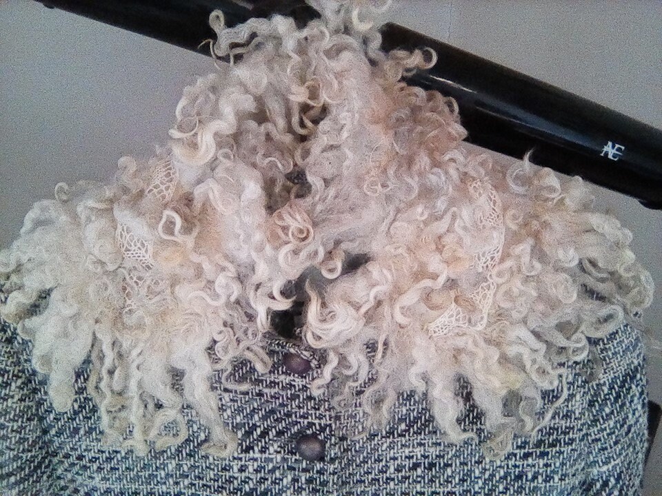 Kragen Kragen von Marionfelt