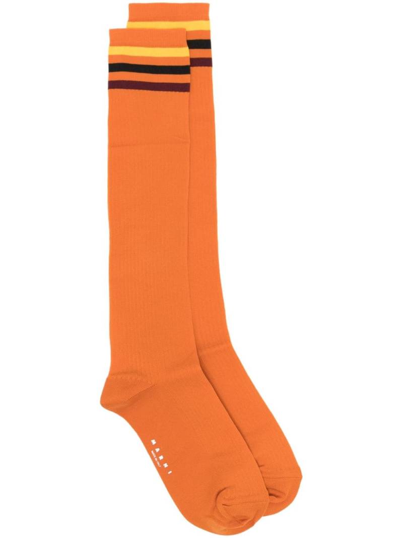 Marni Gestreifte Socken - Orange von Marni