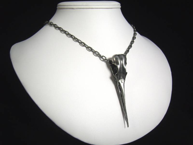 Reiher-Totenkopf-Halskette. Vogelschädel. Wasservogel. Dbsn von MarthaRotten