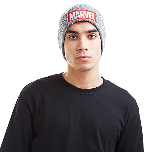 MARVEL Mütze Logo grau one size von Marvel