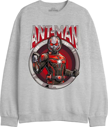 Marvel Herren Meantmmsw012 Sweatshirt, Grau meliert, L von Marvel