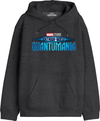 Marvel Herren Meantmmsw018 Kapuzenpullover, MEHR Anthracite, L von Marvel