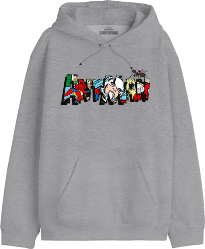 Marvel Herren Meantmmsw019 Kapuzenpullover, Grau meliert, M von Marvel