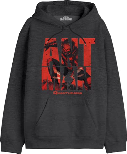 Marvel Herren Meantmmsw021 Kapuzenpullover, MEHR Anthracite, M von Marvel