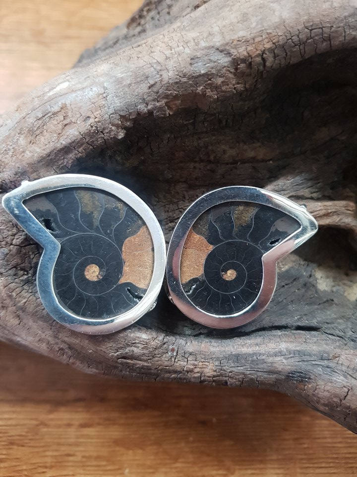 Fossile Ammoniten Ohrringe von MasaiArt