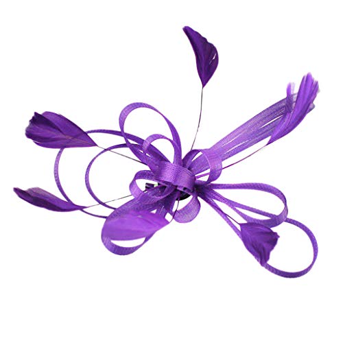 Mesh Headband hat Faszinatoren Teekopfschutz Party Federn auf den Blättern ein Haarreif Heimatstolz Stirnband (Purple, One Size) von Mashaouyo