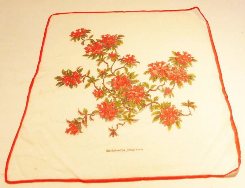 Hanki Blumendruck Baumwolle Vintage 50Er Jahre Taschentuch Rhododendron Ferrugineum Blumen Auf Weißem Hintergrund Roter Rand von MashliDesign