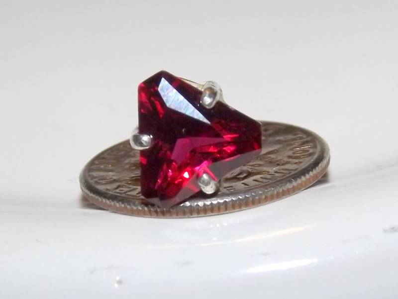 Krawattennadel Mit Rotem Rubin von MatsMachinations