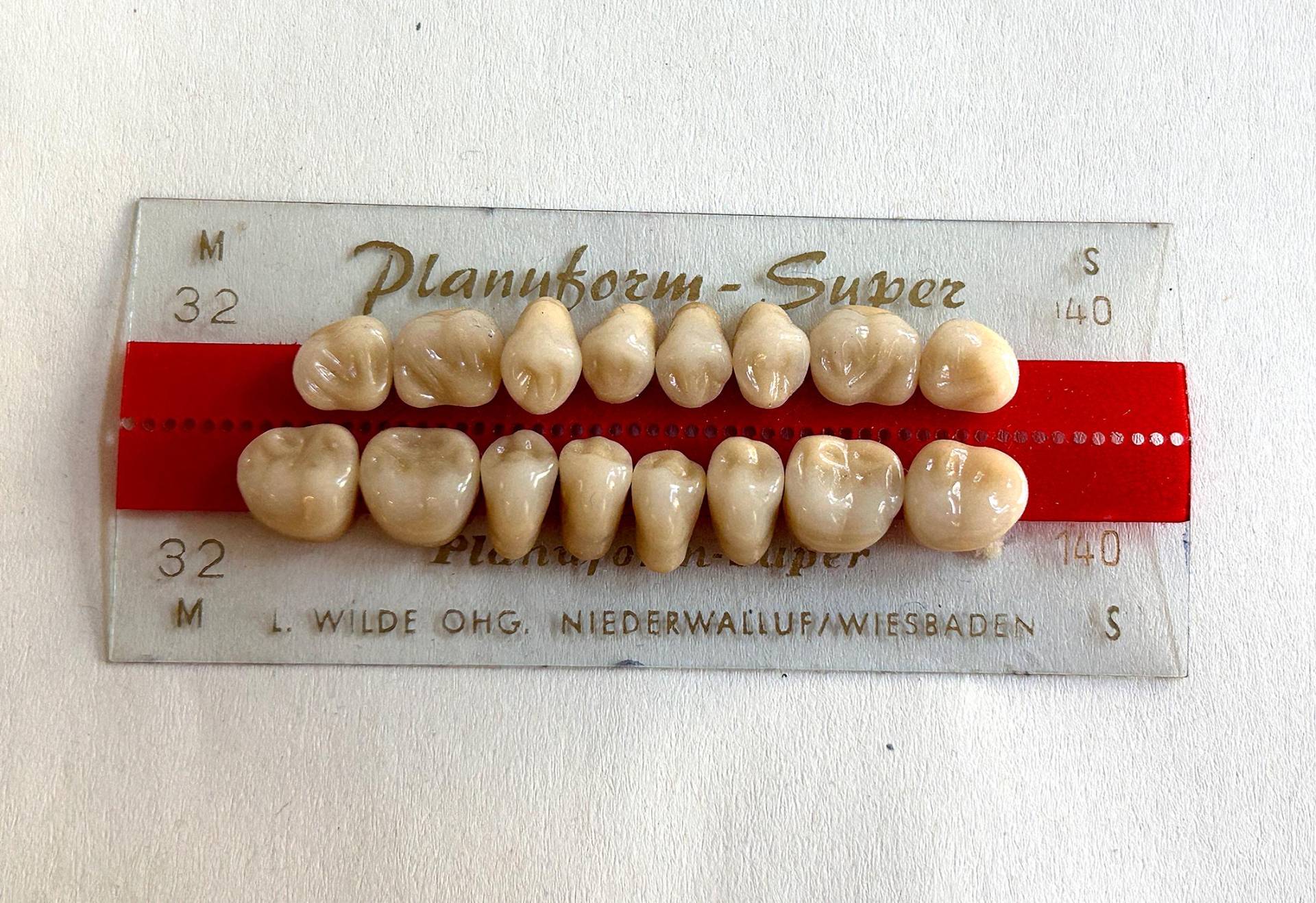 Kunsstoffzähne, Backenzähne, Oberkiefer Und Unterkiefer von Mattwieglaenzend