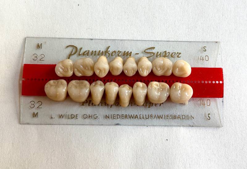 Kunsstoffzähne, Backenzähne, Oberkiefer Und Unterkiefer von Mattwieglaenzend