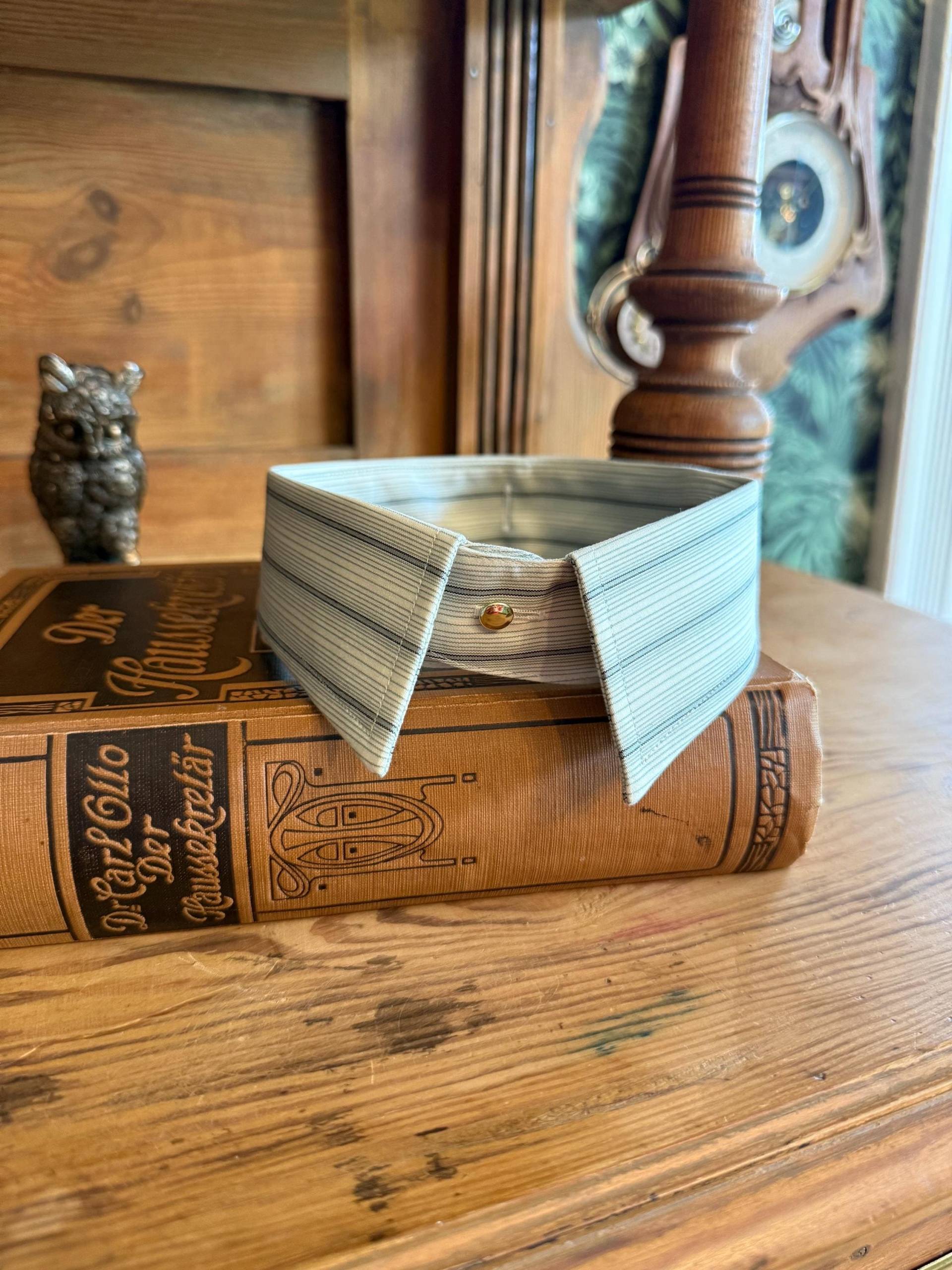 Edwardian Style - Detachable Spearpoint Collar Green 1910S/1920S 1930S Eu41 Uk16 Edwardian Style - Detachable Spearpoint Collar Green 1910S/1920S 1930S Eu41 Uk16 von MaxErlerLeipzig
