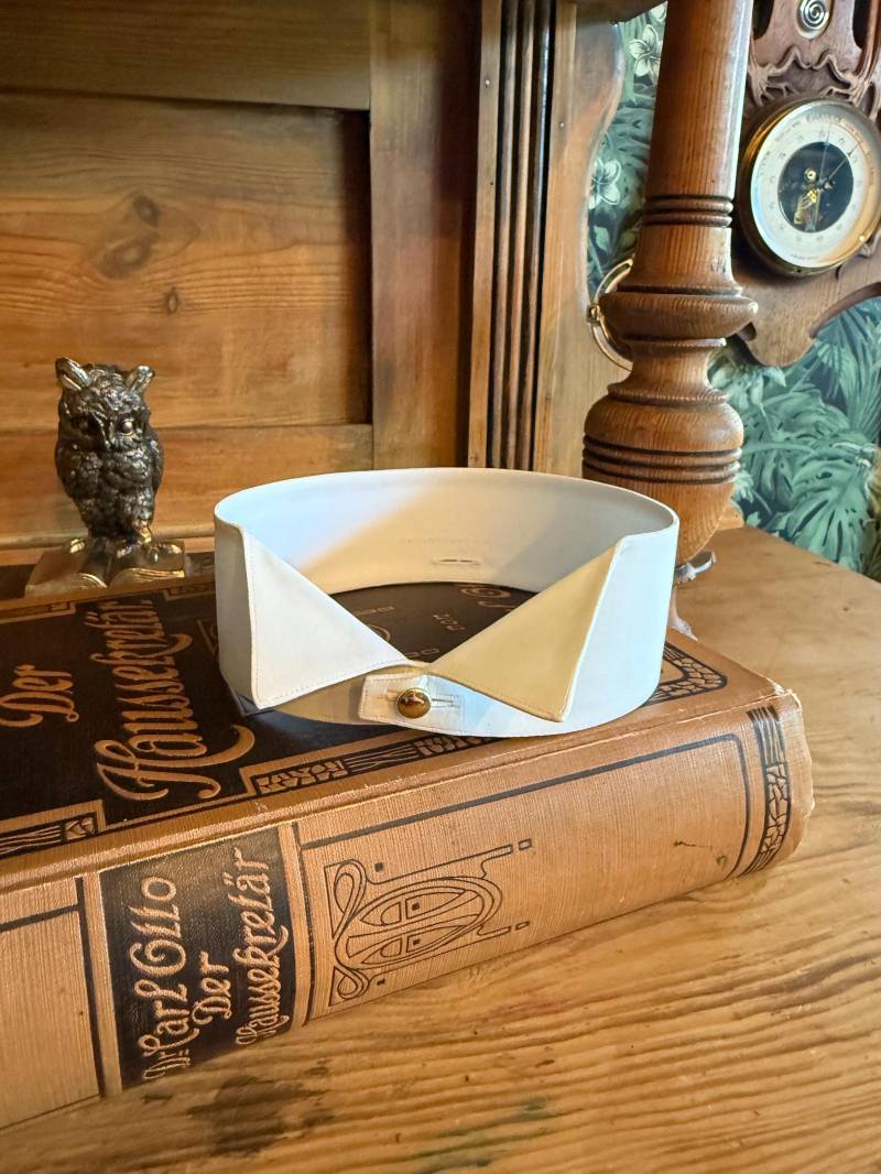 Victorian/Edwardian - Detachable Wing Tip Collar 1900S 1910S Eu39 Uk15, 5 Victorian/Edwardian - Detachable Wing Tip Collar 1900S 1910S Eu39 Uk15, 5 von MaxErlerLeipzig