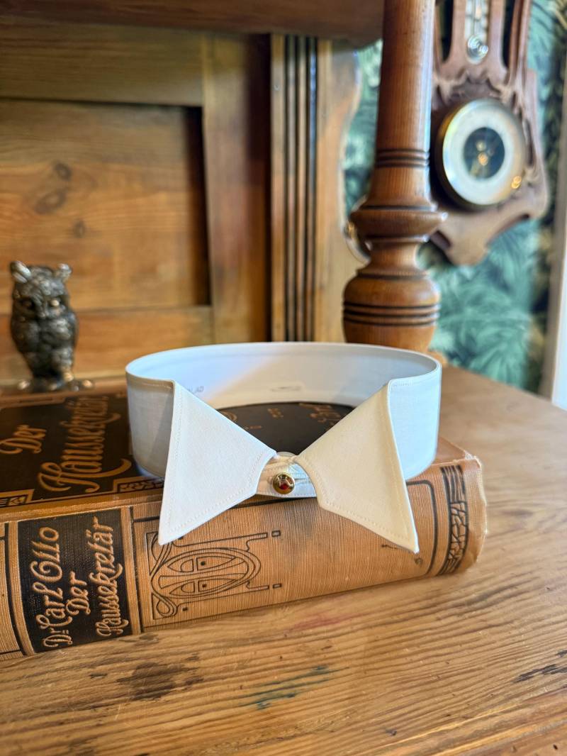 Victorian/Edwardian - Detachable Wing Tip Collar 1900S 1910S Eu39 Uk15, 5 Victorian/Edwardian - Detachable Wing Tip Collar 1900S 1910S Eu39 Uk15, 5 von MaxErlerLeipzig