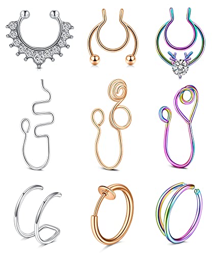 Mayhoop Fake Nose Ring Fake Nasenpiercing Fake Septumring Nasenmanschetten Chirurgenstahl Geweih Silber Rosegold Regenbogen Für Frauen Männer Piercingschmuck 9 Stile 9St von Mayhoop