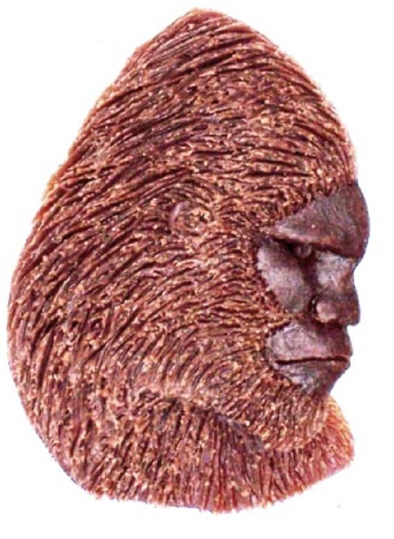 Bigfoot Oder Sasquatch Kopf Pendent Neues Design von McCloud9Jewelry