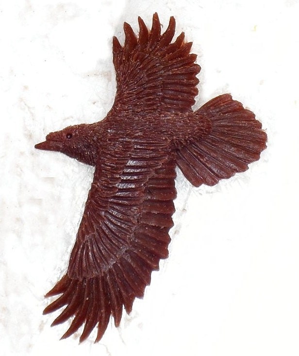 Neuer Rabe von McCloud9Jewelry