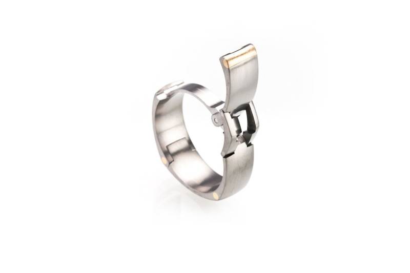 Tg2 Scharnier Titan | Option Gold - Oder Platinakzent Aktiver Herren Ehering von McWhinneyDesigns