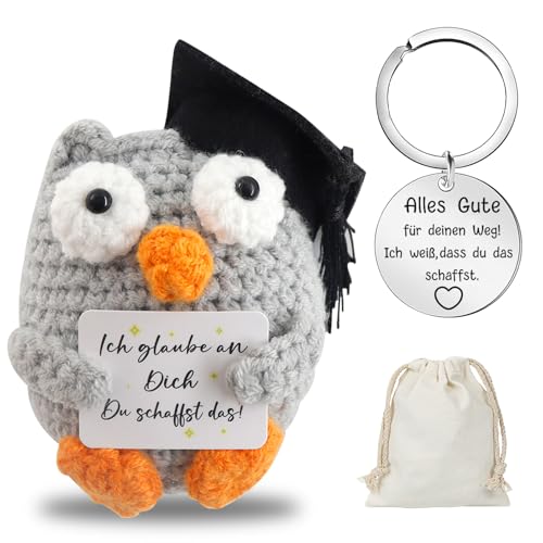 Meanju Positive Geschenke Gestrickte Eule Kuscheltier, Pocket Hug Owl Positive Kartoffel Strickwolle Puppe und Schlüsselanhänger Glücksbringer Prüfung Mutmacher Gute Besserung Geschenk von Meanju